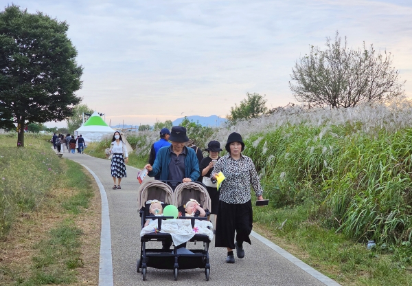 ​광주시 서구청이 주최하는 제9회 광주서창 억새축제가 '은빛 억새가 전하는 가을로의 초대'라는 주제로 17일 개막됐다./김은조 기자​