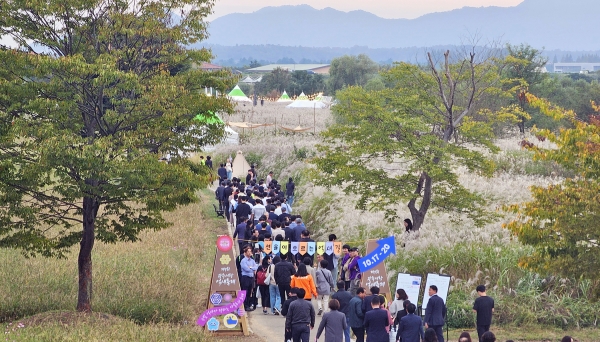 ​광주시 서구청이 주최하는 제9회 광주서창 억새축제가 '은빛 억새가 전하는 가을로의 초대'라는 주제로 17일 개막됐다./김은조 기자​