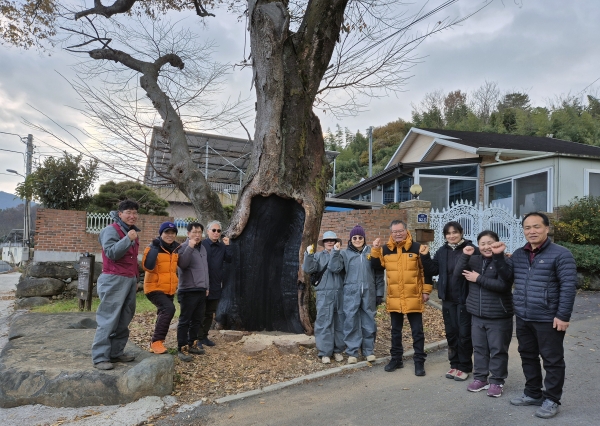 여수나무병원은 지난 13일 여수시 율촌면 청대길에서 300년된 보호수 느티나무에 대해 자연친화적 외과수술을 마치고 참여자들과 함께 기념촬영을 하였다./여수나무병원 제공